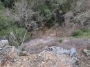 Vallon de l'Huveaune